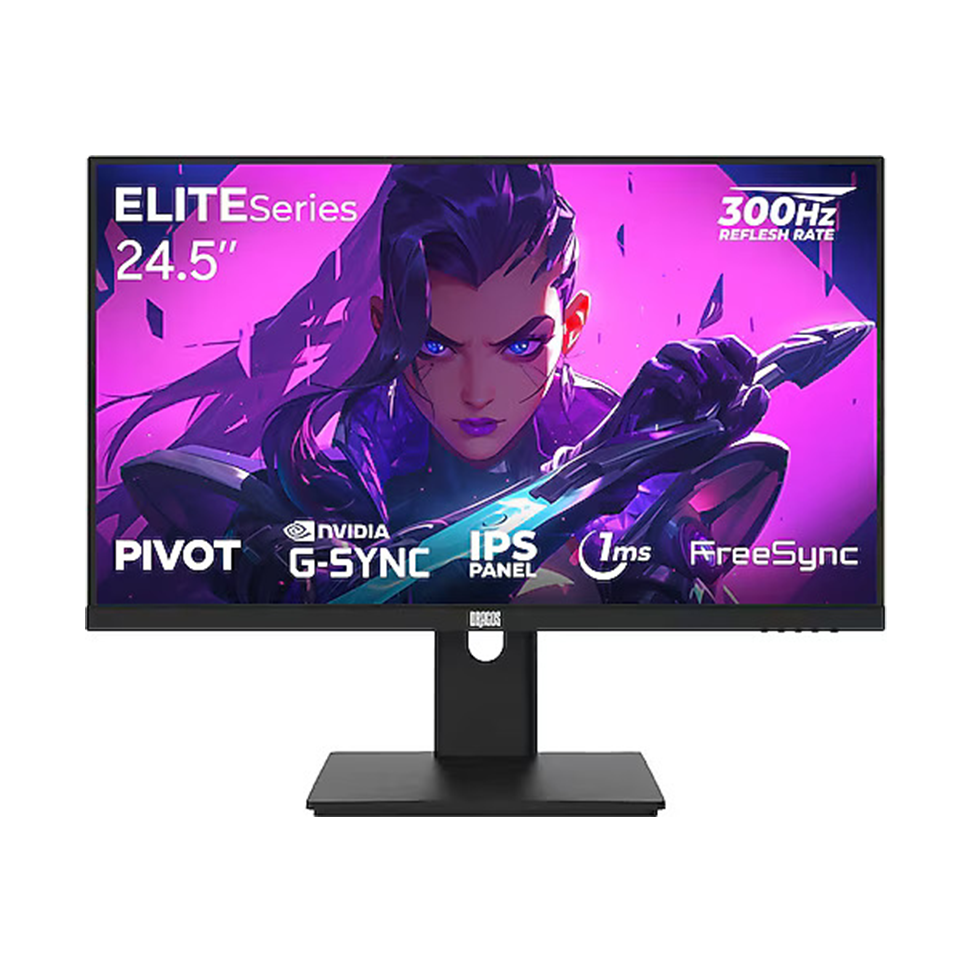 Dragos 1ms FHD 300Hz IPS Pivot Gaming Monitör